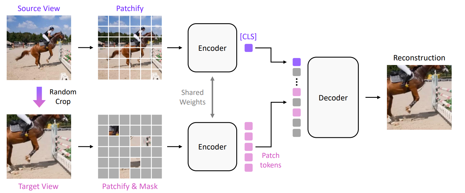 CroBo overview teaser