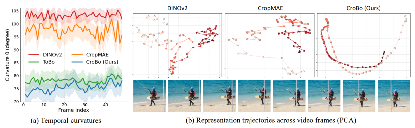 Perceptual straightness